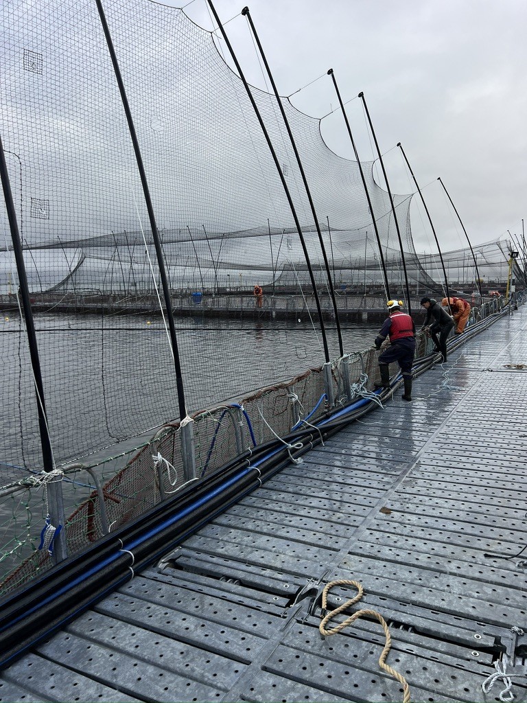 Equipo Servimar instalando redes en un centro de cultivo