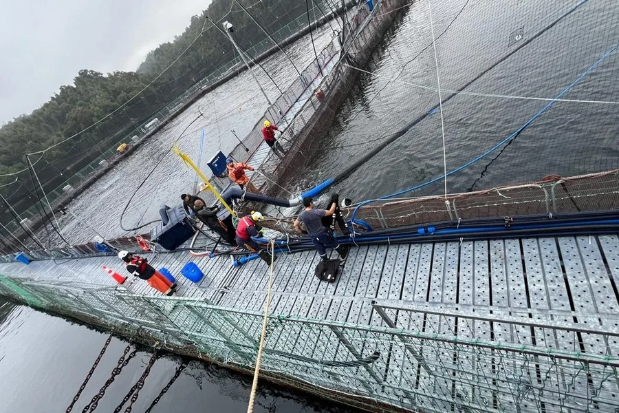 Cuadrilla de Servimar trabajando sobre la estructura de jaulas de un centro de cultivo